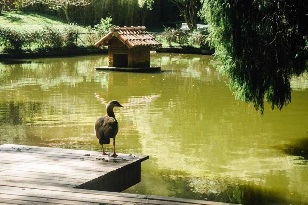 Inn Tucano Do Cuiaba 3*